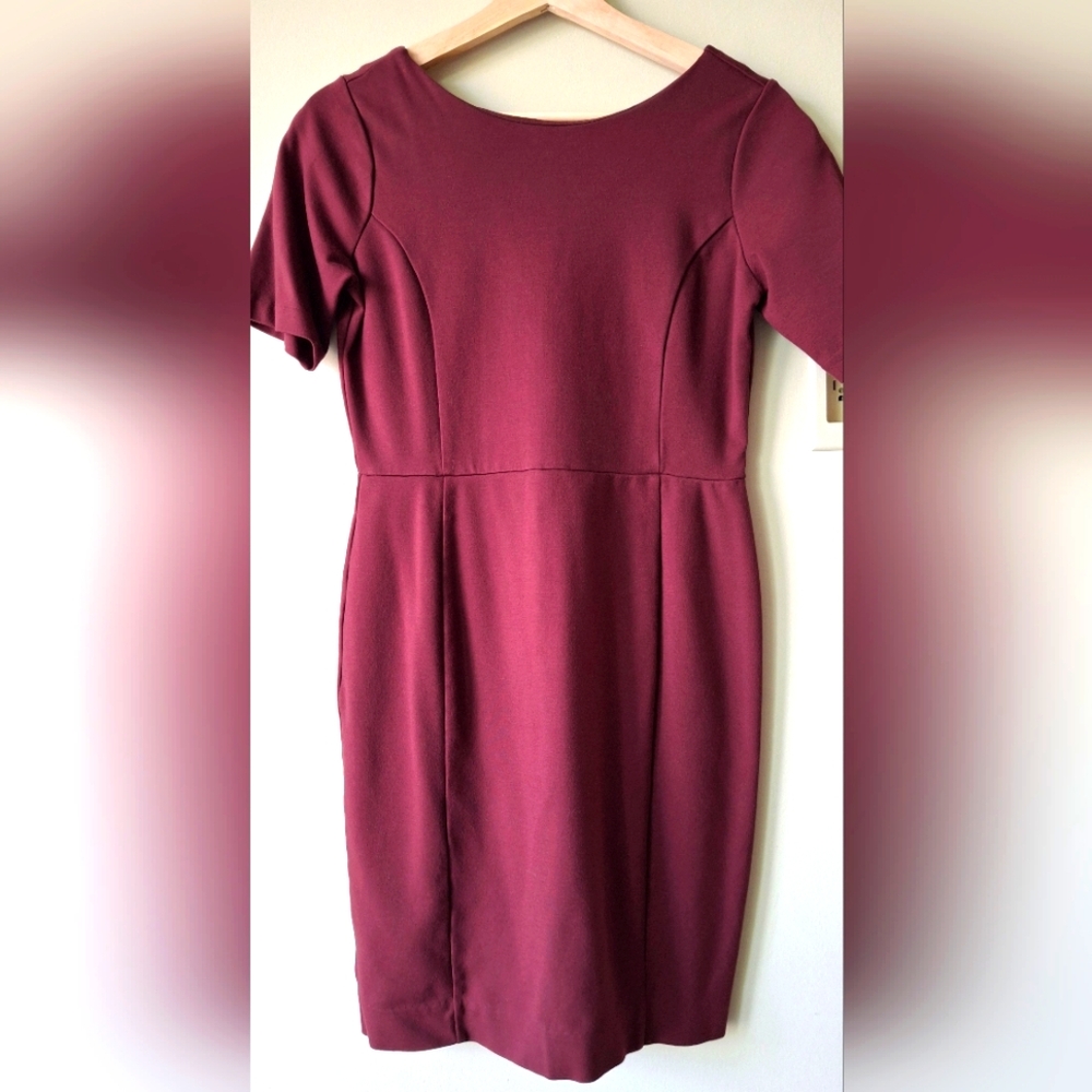 Ann Taylor Burgundy Mini Dress - 4P